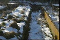 Historischer Kräutergarten